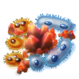 Bacteria cultivation