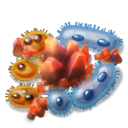 Bacteria cultivation