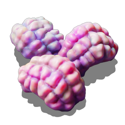 Jellynut